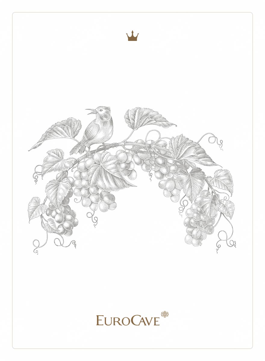 빈티지한 일러스트의 카드 디자인