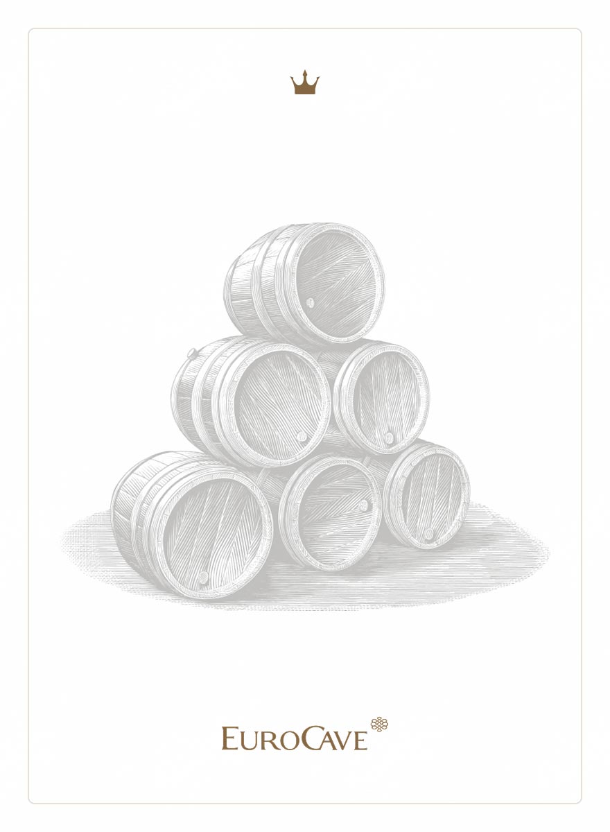 빈티지한 일러스트의 카드 디자인